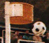 Korfball Bild